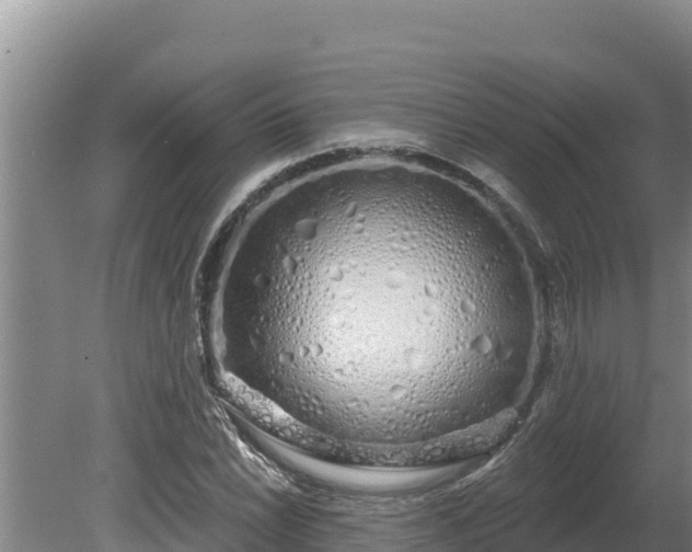 X0000080131022200612151733