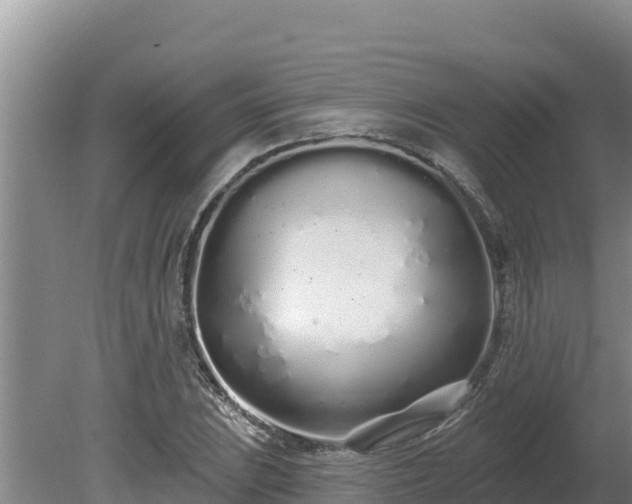 X0000080131023200612151733