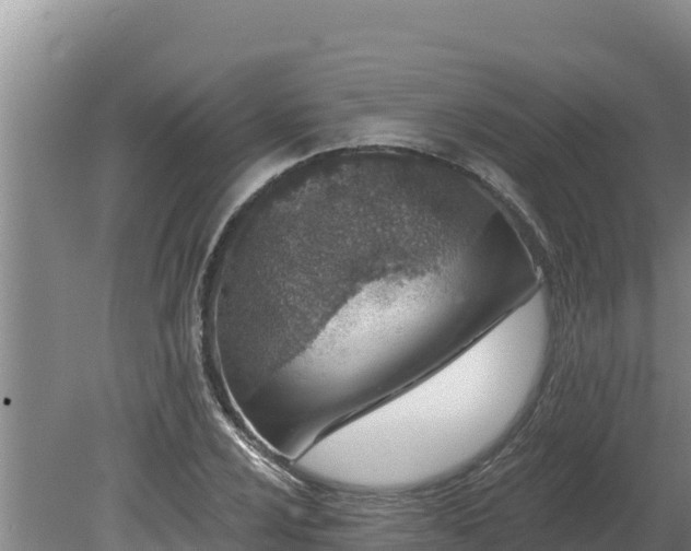 X0000080131024200612151733