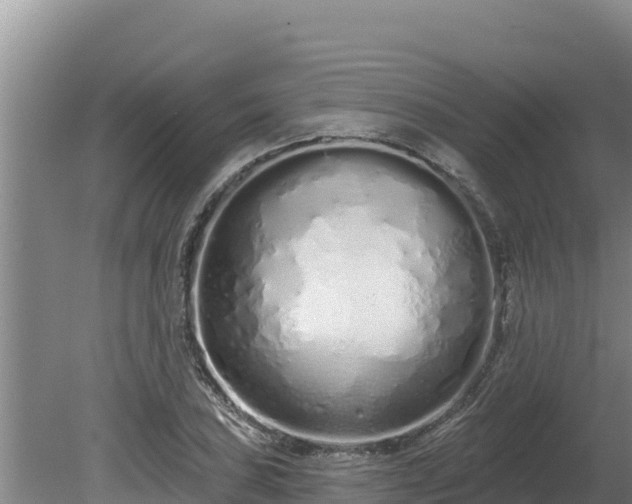 X0000080131027200612151733