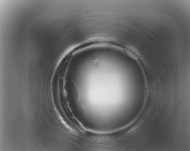 X0000080131030200612151733