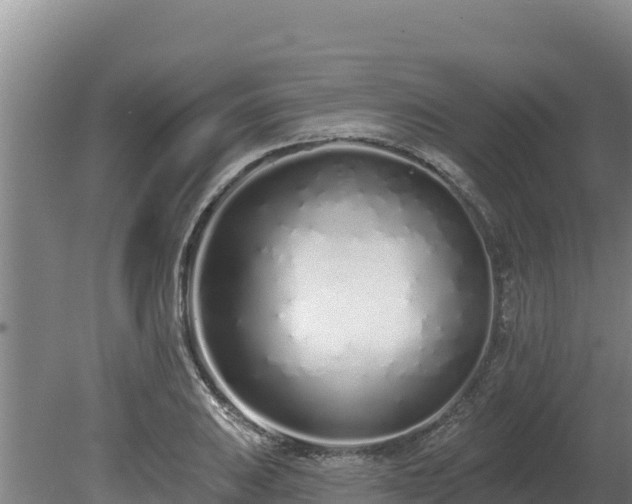 X0000080131031200612151733