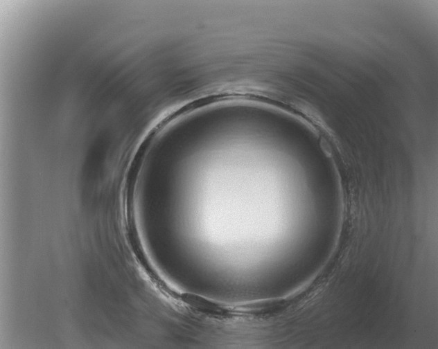 X0000080131032200612151733