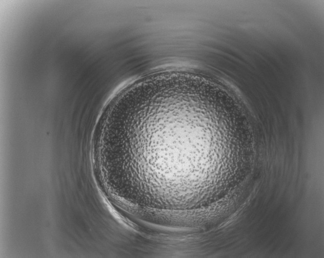 X0000080131034200612151733