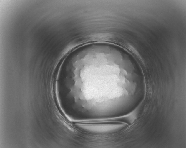 X0000080131035200612151733