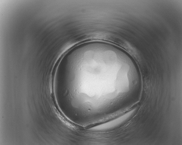 X0000080131036200612151733