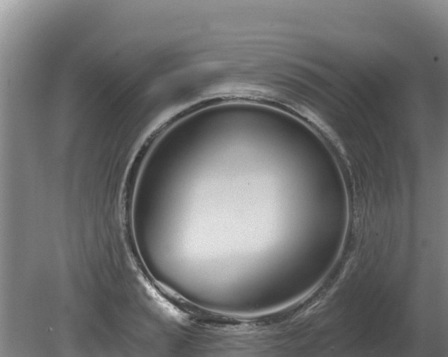 X0000080131037200612151733