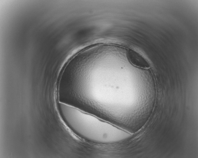 X0000080131040200612151733