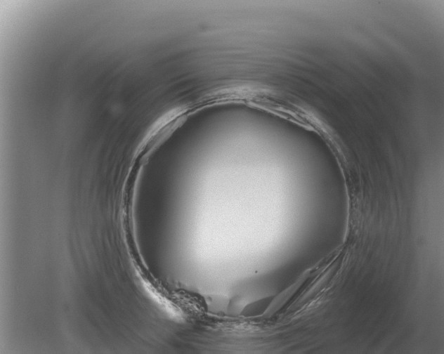 X0000080131042200612151733