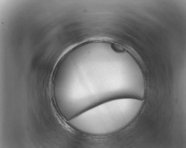 X0000080131044200612151733