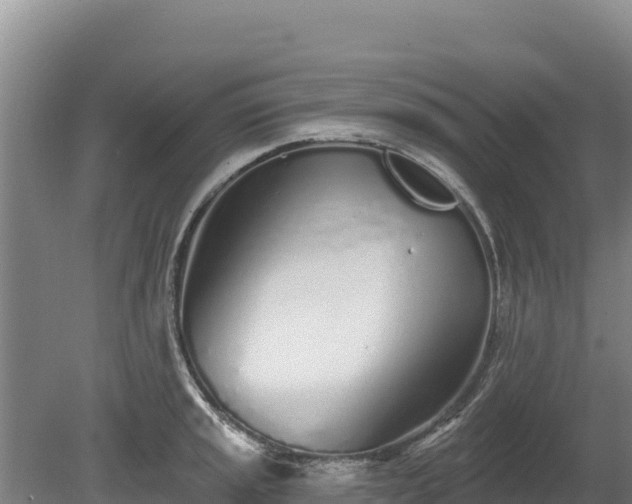 X0000080131045200612151733