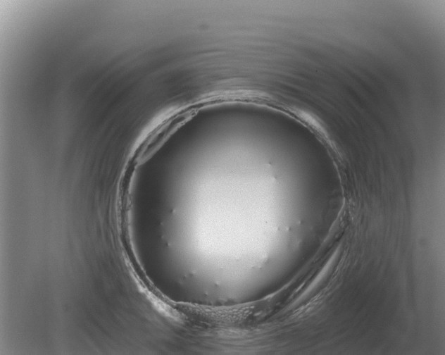 X0000080131046200612151733