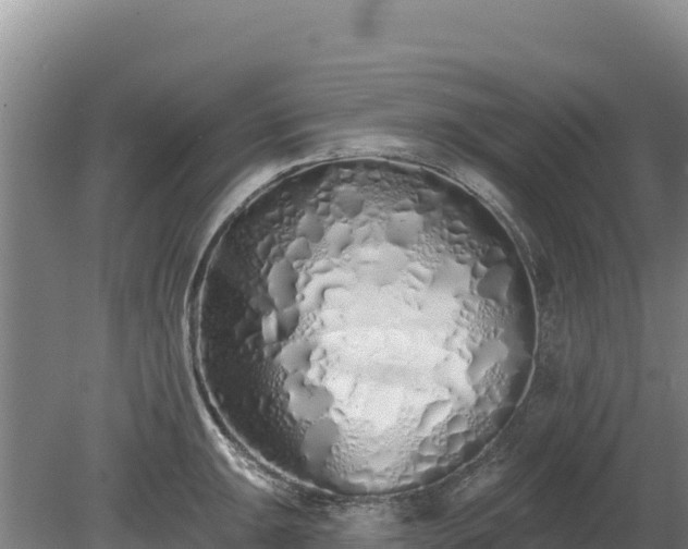 X0000080131047200612151733