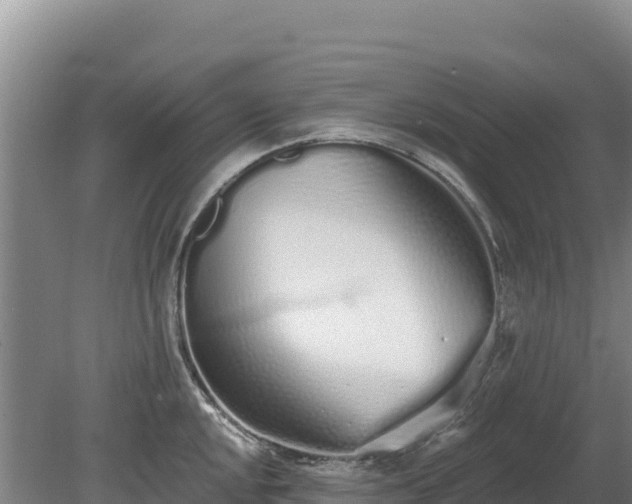 X0000080131048200612151733