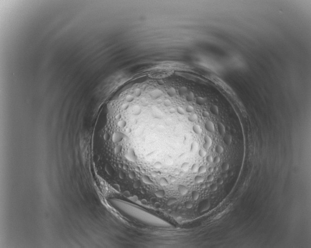 X0000080131049200612151733