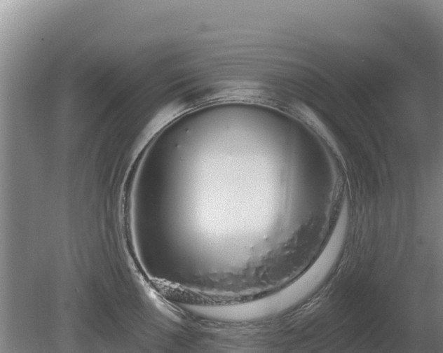 X0000080131050200612151733