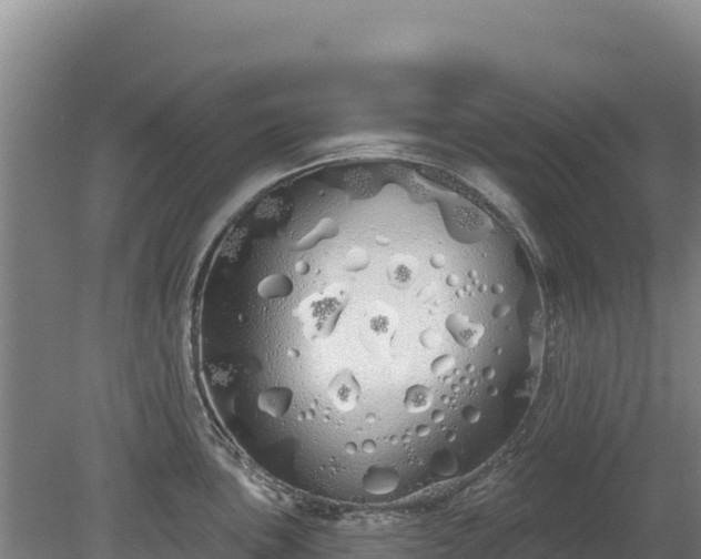 X0000080131051200612151733