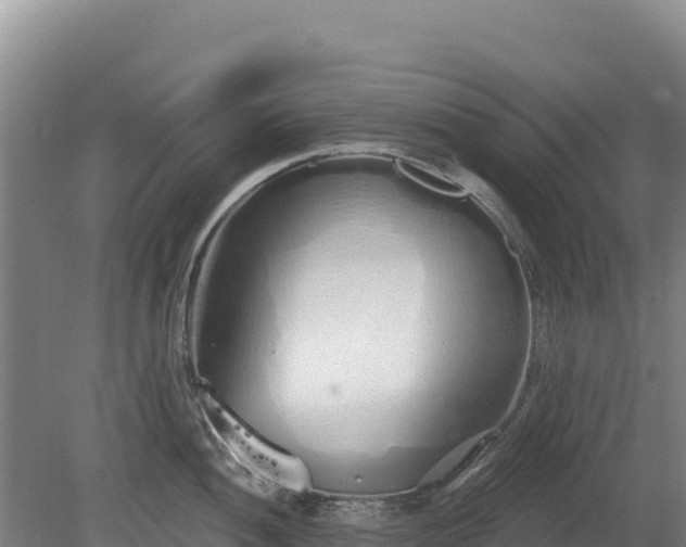 X0000080131052200612151733