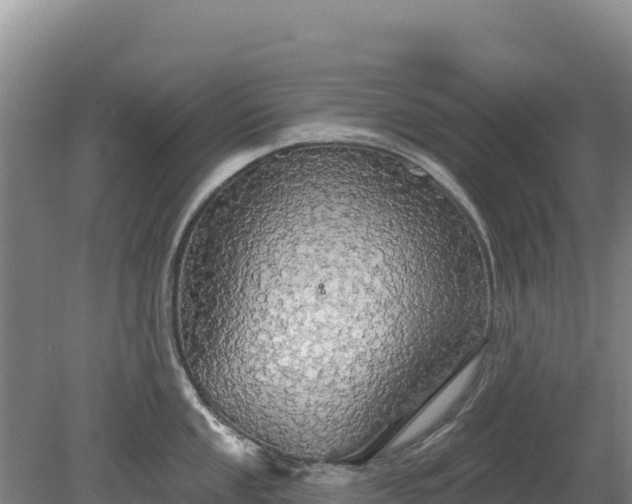 X0000080131053200612151733