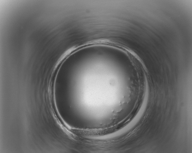 X0000080131054200612151733