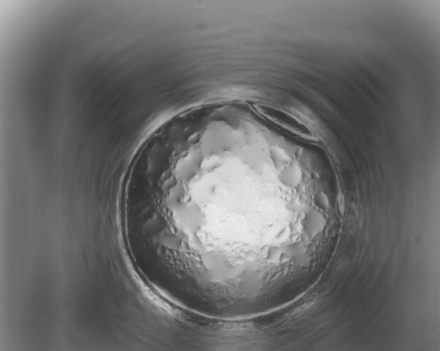 X0000080131055200612151733