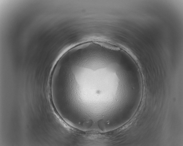 X0000080131056200612151733