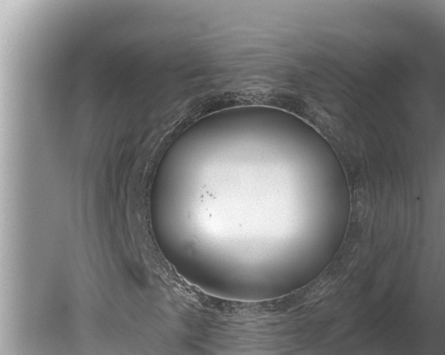 X0000080131057200612151733