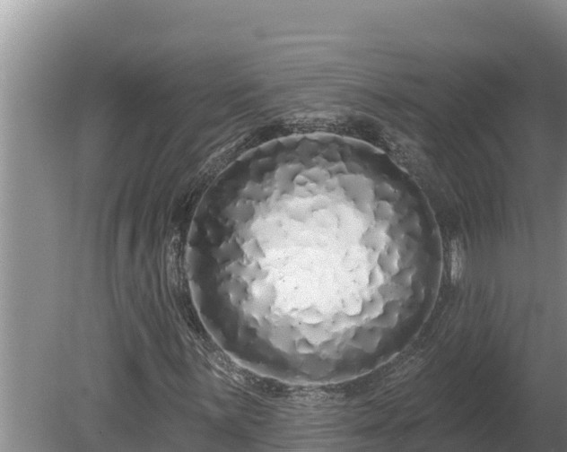 X0000080131059200612151733