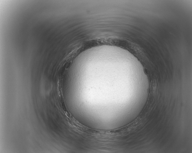 X0000080131060200612151733