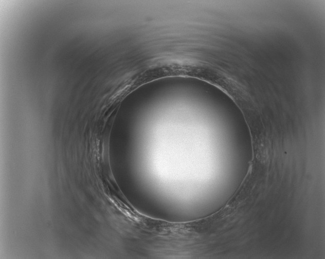 X0000080131061200612151733