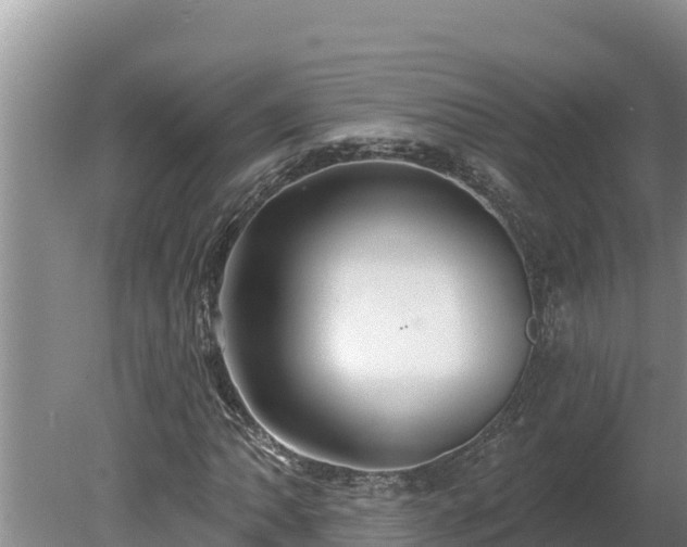 X0000080131062200612151733