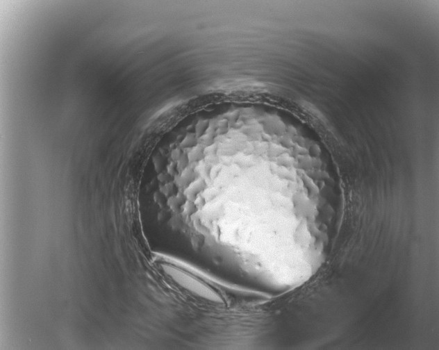 X0000080131063200612151733