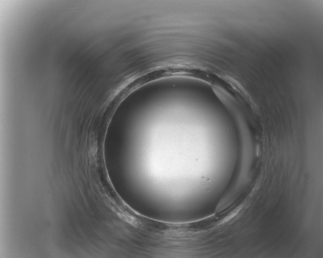 X0000080131065200612151732