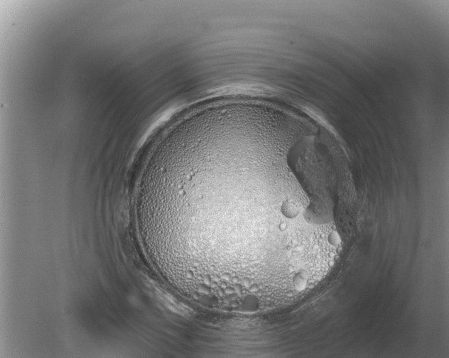 X0000080131067200612151732