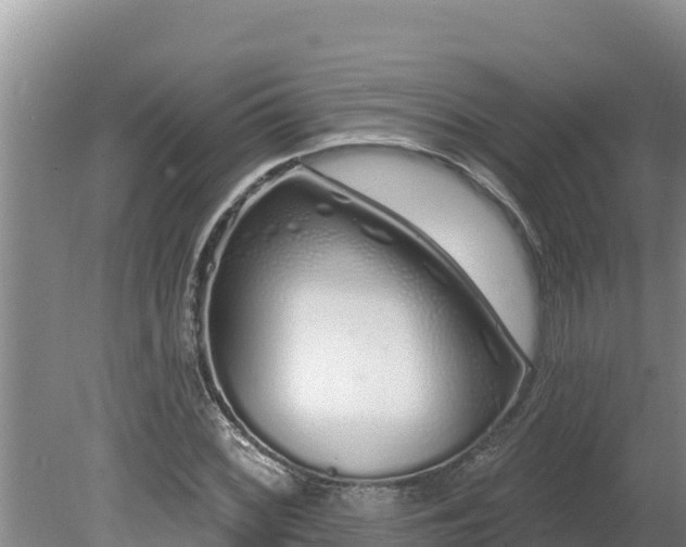 X0000080131068200612151732