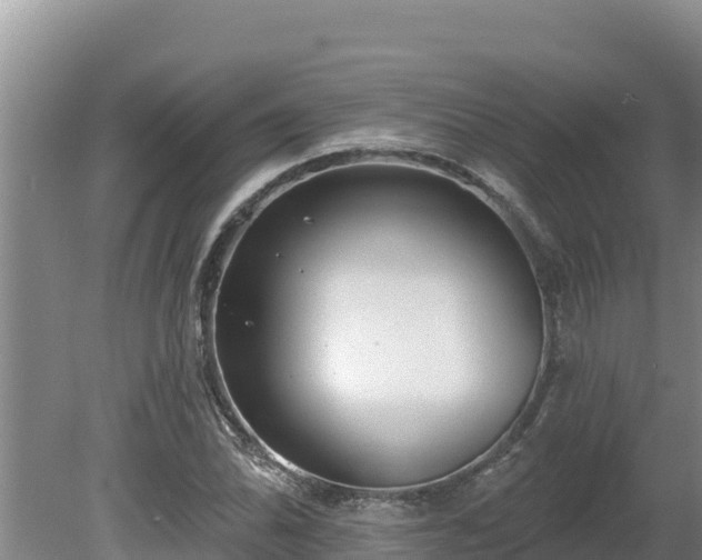 X0000080131070200612151732