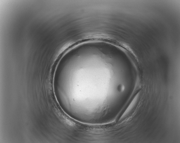 X0000080131071200612151732