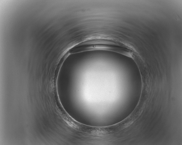 X0000080131073200612151732