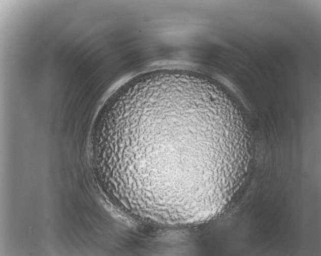 X0000080131074200612151732