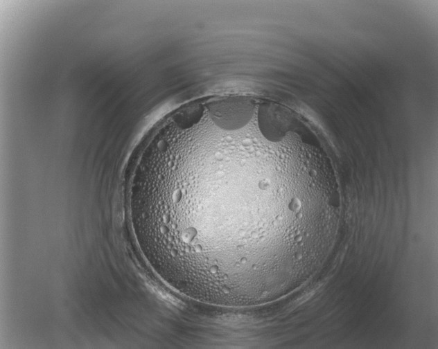 X0000080131075200612151732