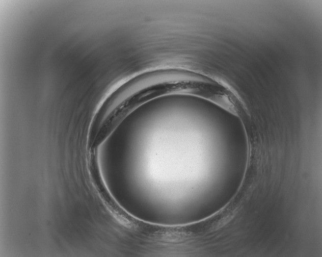 X0000080131077200612151732