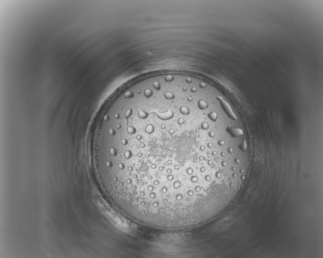 X0000080131078200612151732