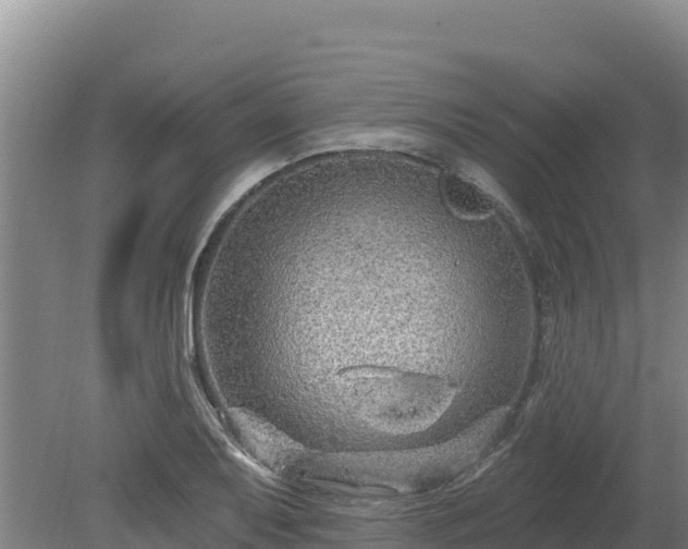 X0000080131079200612151732