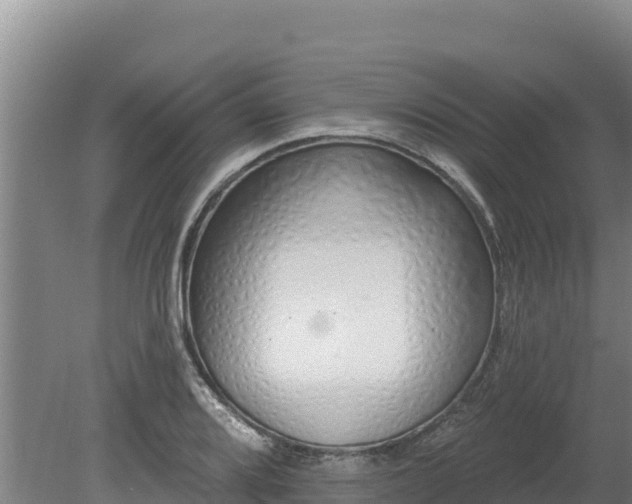 X0000080131080200612151732