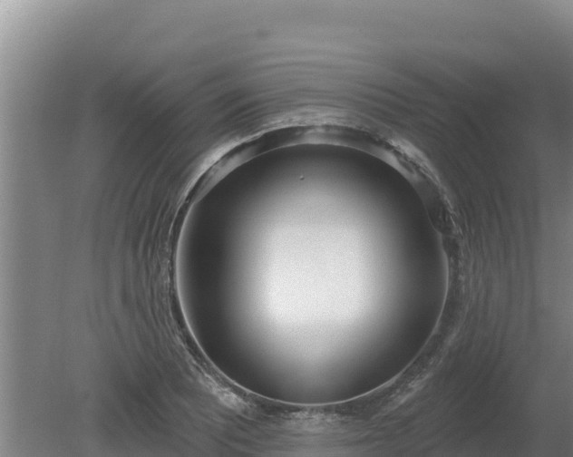 X0000080131081200612151732