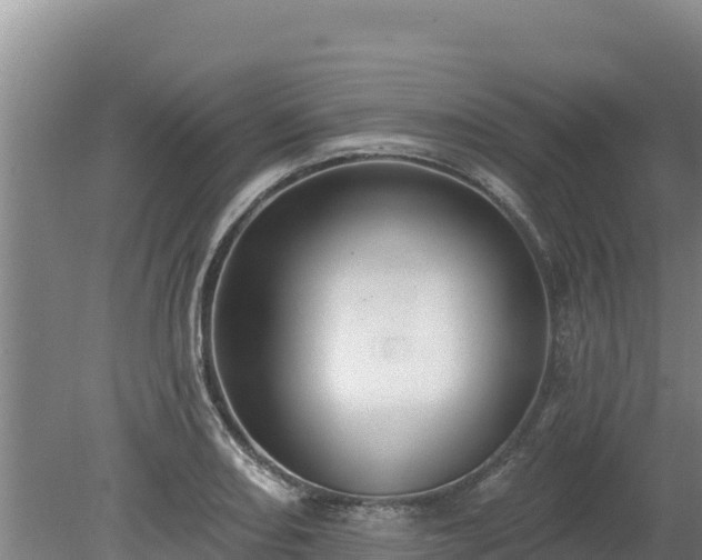 X0000080131082200612151732