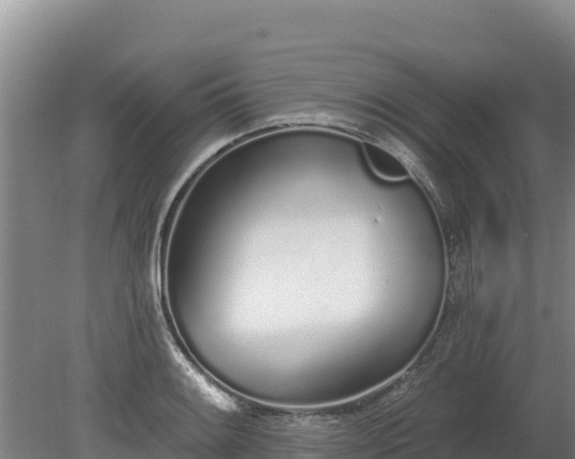 X0000080131084200612151732