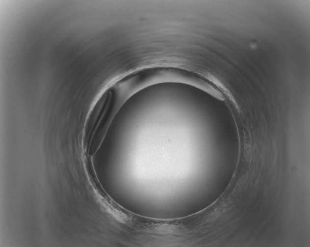 X0000080131085200612151732