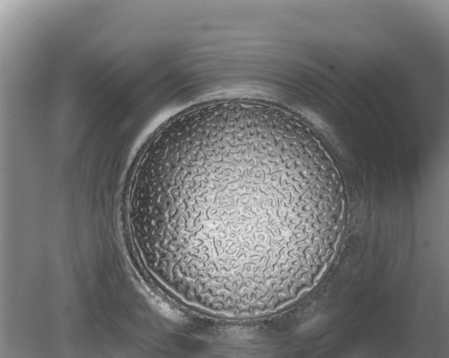 X0000080131086200612151732