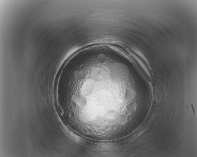 X0000080131087200612151732